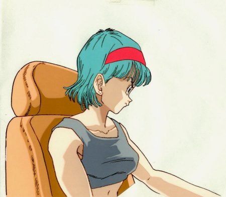 Bulma pov